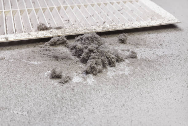 Best Air Duct Cleaning Near Me  in Lake Holiday, VA