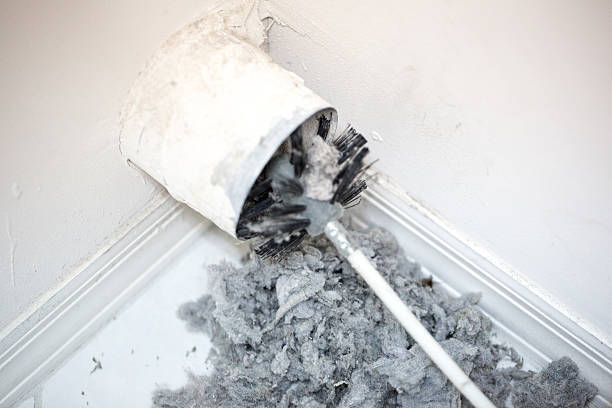 Best Air Duct Cleaning Company Near Me  in Lake Holiday, VA